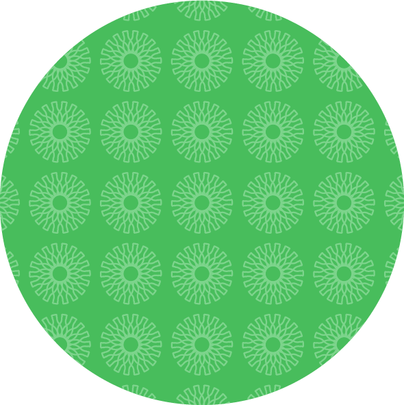 Product Background